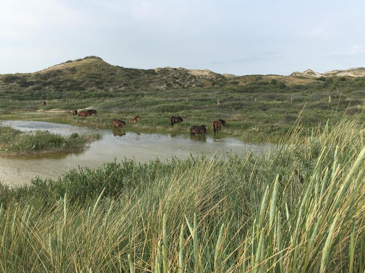 De Duinlopers - Studio Appt Bries - Strand, Duinen En Nabij Cultuur Steden كاستريكوم المظهر الخارجي الصورة